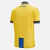 Apoel FC 2025/26 Yetişkinler İç Saha Forması Apoel FC 2025/26 Yetişkinler İç Saha Forması