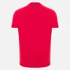 Arnavutluk Milli Takımı FSHF 2026/27 Erkek_x0092_s Spor Kırmızı Tişört Athleisure Arnavutluk Milli Takımı FSHF 2026/27 Erkek_x0092_s Spor Kırmızı Tişört Athleisure