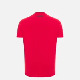 Arnavutluk Milli Takımı FSHF 2026/27 Genç Spor Kırmızı Athleisure Tişört Arnavutluk Milli Takımı FSHF 2026/27 Genç Spor Kırmızı Athleisure Tişört