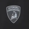 Automobili Lamborghini Erkek Spor Şortları Automobili Lamborghini Erkek Spor Şortları