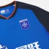 Auxerre 2025/26 Yetişkinler Üçüncü Maç Forması Auxerre 2025/26 Yetişkinler Üçüncü Maç Forması