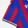Crystal Palace 2025/26 Yetişkin Vintage Forma Özel Seri Forma Crystal Palace 2025/26 Yetişkin Vintage Forma Özel Seri Forma