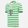 Ferencváros TC 2025/26 Yetişkinler İçin Ev Maçı Forması Ferencváros TC 2025/26 Yetişkinler İçin Ev Maçı Forması