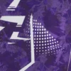 FK Austria Wien 2025/26 Yetişkin Isınma Gömleği FK Austria Wien 2025/26 Yetişkin Isınma Gömleği