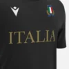 Italia Rugby 2025/26 Yetişkinler İçin Taraftar Serisi Pamuklu Tişörtler Italia Rugby 2025/26 Yetişkinler İçin Taraftar Serisi Pamuklu Tişörtler