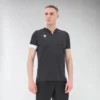 Magister polo Magister polo