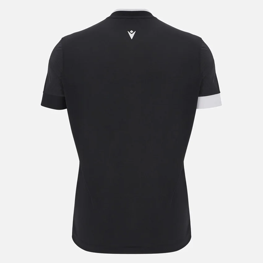 Magister polo Magister polo