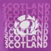 Scottish Rugby 2025/26 Mor Leisure Tişört