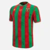 Ternana Calcio 2025/26 Yetişkinler İç Saha Forması Ternana Calcio 2025/26 Yetişkinler İç Saha Forması