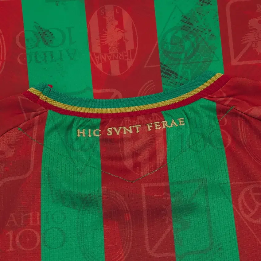 Ternana Calcio 2025/26 Yetişkinler İç Saha Forması Ternana Calcio 2025/26 Yetişkinler İç Saha Forması