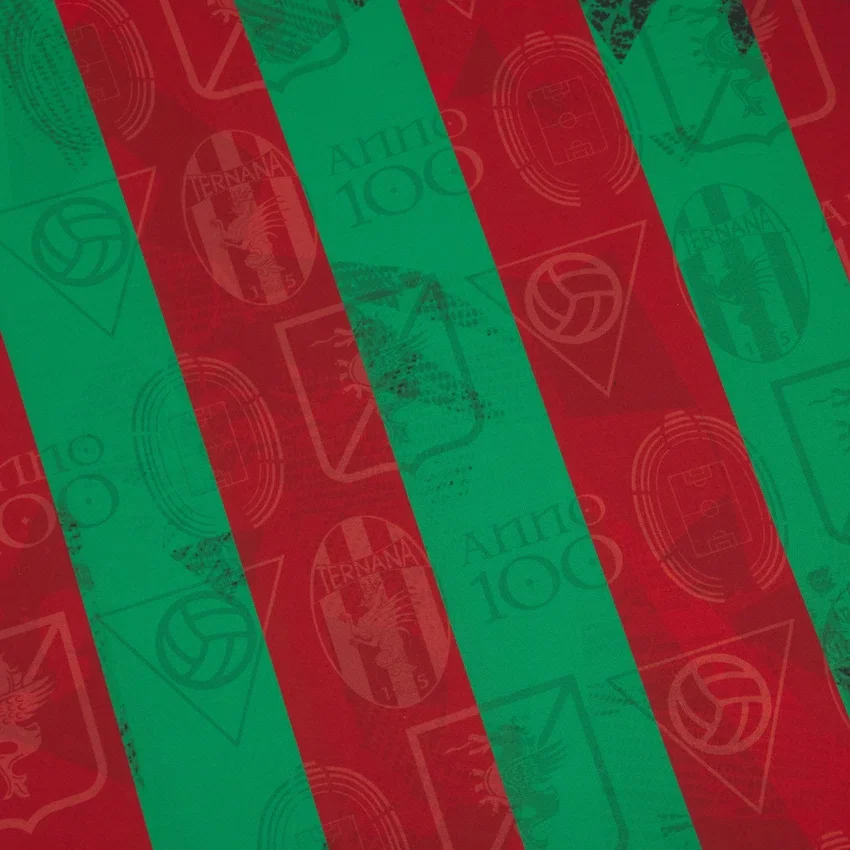 Ternana Calcio 2025/26 Yetişkinler İç Saha Forması Ternana Calcio 2025/26 Yetişkinler İç Saha Forması