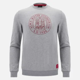 Unibo Koleksiyonu Gri Melanj Fırçalanmamış Bisiklet Yaka Sweatshirt Yetişkinler