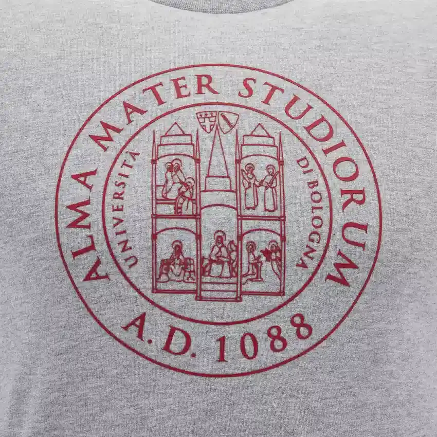 Unibo Koleksiyonu Gri Melanj Fırçalanmamış Bisiklet Yaka Sweatshirt Yetişkinler Unibo Koleksiyonu Gri Melanj Fırçalanmamış Bisiklet Yaka Sweatshirt Yetişkinler