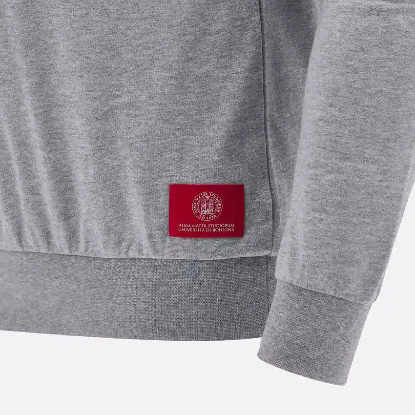 Unibo Koleksiyonu Gri Melanj Fırçalanmamış Bisiklet Yaka Sweatshirt Yetişkinler Unibo Koleksiyonu Gri Melanj Fırçalanmamış Bisiklet Yaka Sweatshirt Yetişkinler