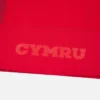 Welsh Rugby 2025/26 Ev Maçı Gömleği Welsh Rugby 2025/26 Ev Maçı Gömleği