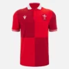 Welsh Rugby 2025/26 Ev Pamuklu Gömlek Welsh Rugby 2025/26 Ev Pamuklu Gömlek