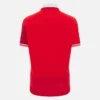 Welsh Rugby 2025/26 Ev Pamuklu Gömlek Welsh Rugby 2025/26 Ev Pamuklu Gömlek
