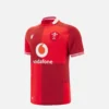 Welsh Rugby 2025/26 Gençler Ev Sahibi Takım Replika Gömleği