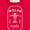 Welsh Rugby 2025/26 Kırmızı Taraftar Kapüşonlular Welsh Rugby 2025/26 Kırmızı Taraftar Kapüşonlular
