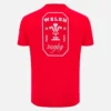 Welsh Rugby 2025/26 Kırmızı Taraftar Tişörtü