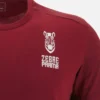 Zebre Parma 2025/26 Yetişkin Seyahat Gömleği